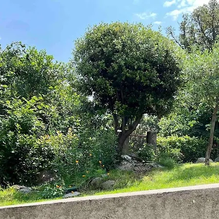 Location Entre Mer, Montagne Et Rivieres *